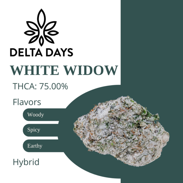 White Widow