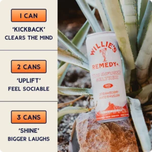 Willie's Remedy Seltzers