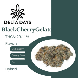 Black Cherry Gelato