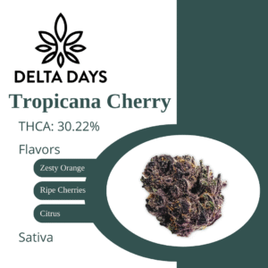 Tropicana Cherry